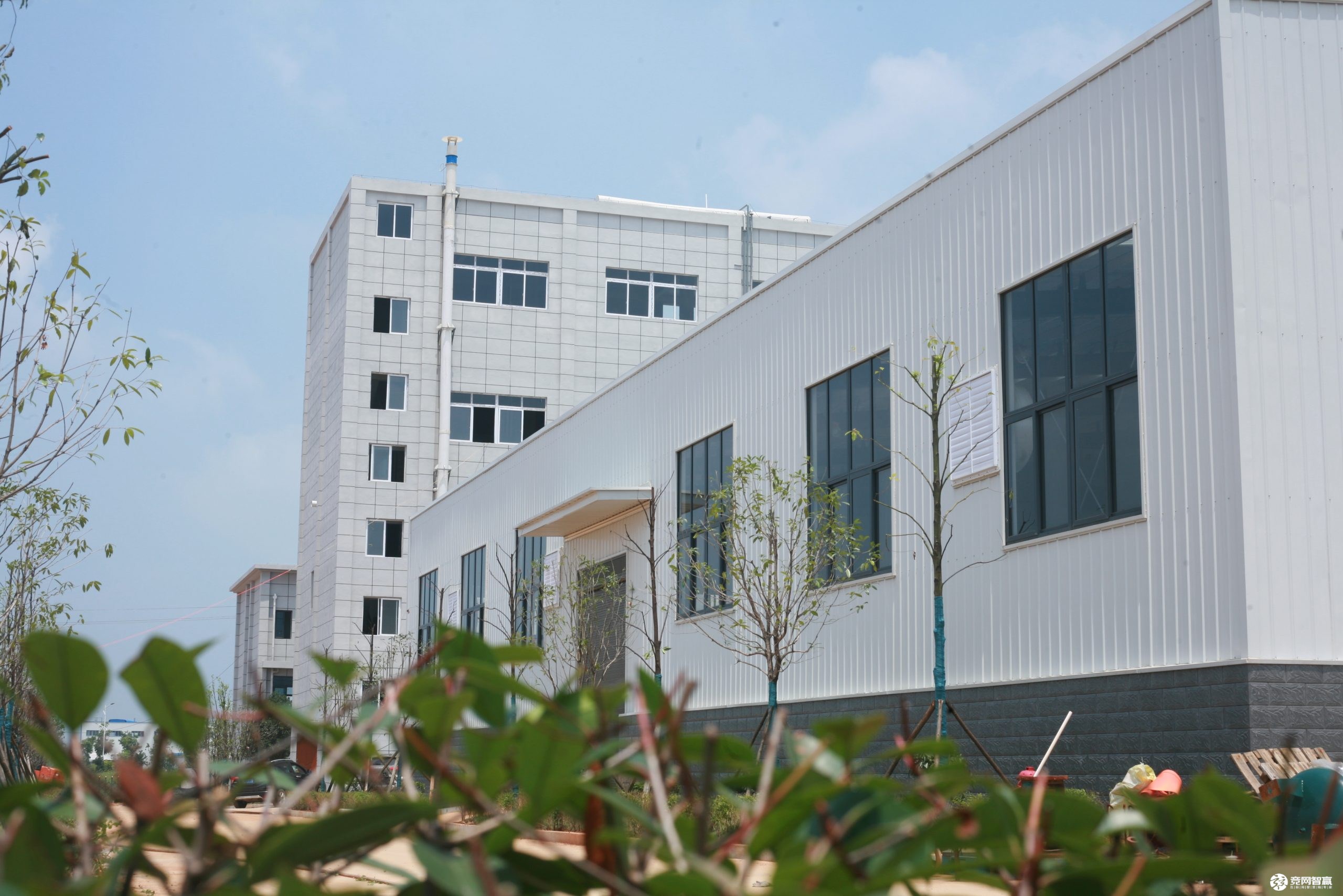 2021年氯化銨市場簡述 2021年氯化銨市場簡述